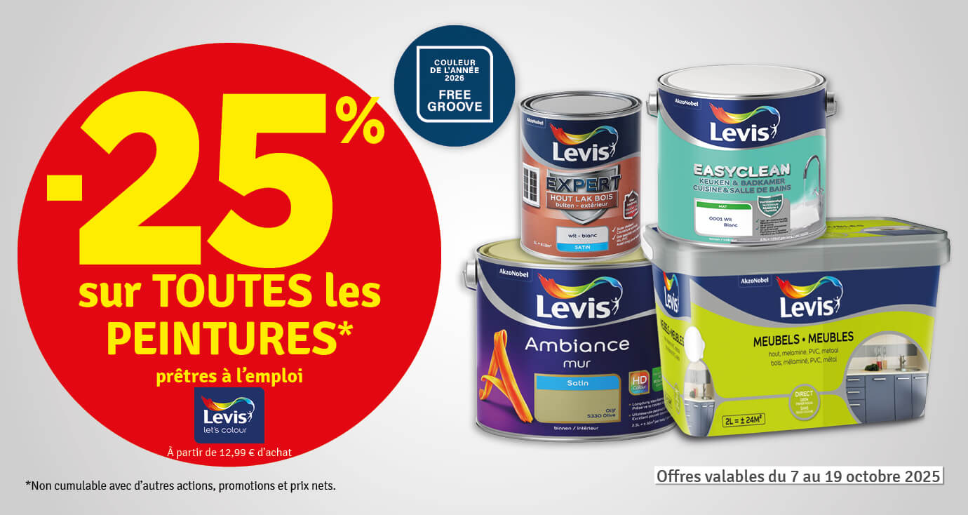 25 % sur toutes les peintures LEVIS